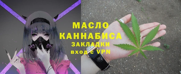 дмт Дмитровск