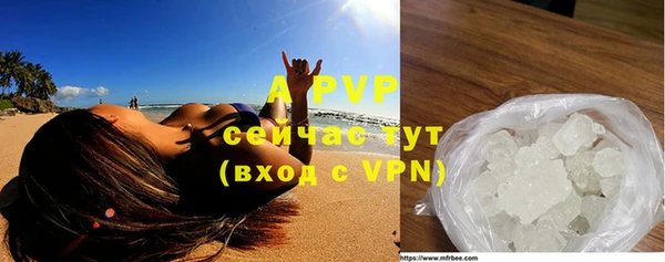 дмт Дмитровск