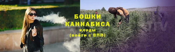 дмт Дмитровск