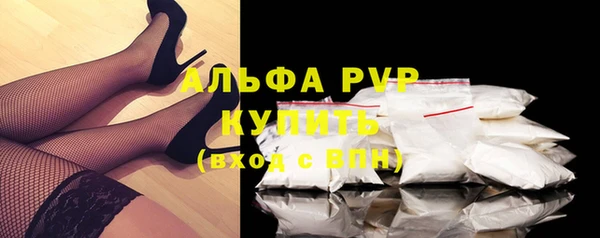трава Корсаков