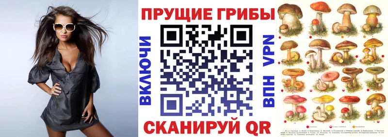 наркотики  Сельцо  Псилоцибиновые грибы мухоморы 