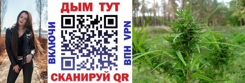 Конопля MAZAR Сельцо