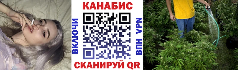 Конопля VHQ  Сельцо 